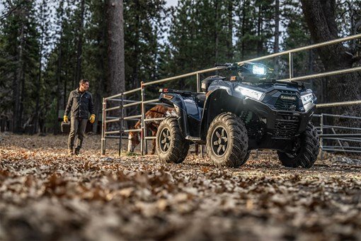 BRUTE FORCE® 750 EPS