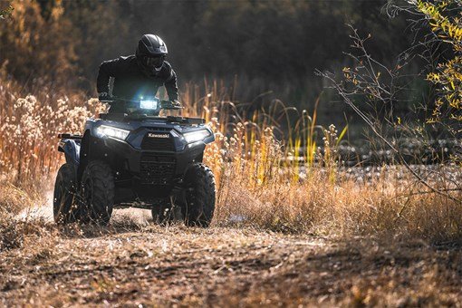 BRUTE FORCE® 750 EPS